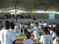 galo entredeux 27.jpg